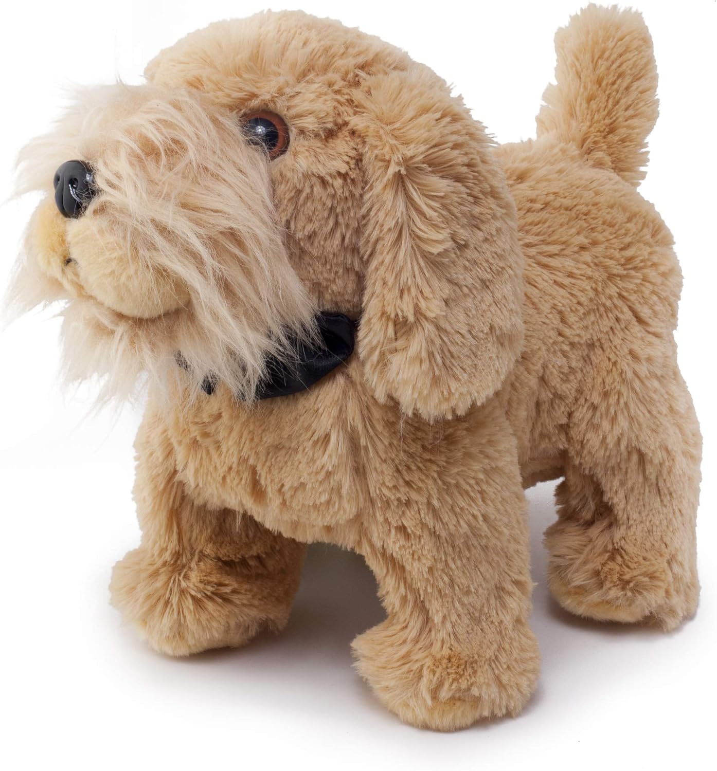 Pet Supplies