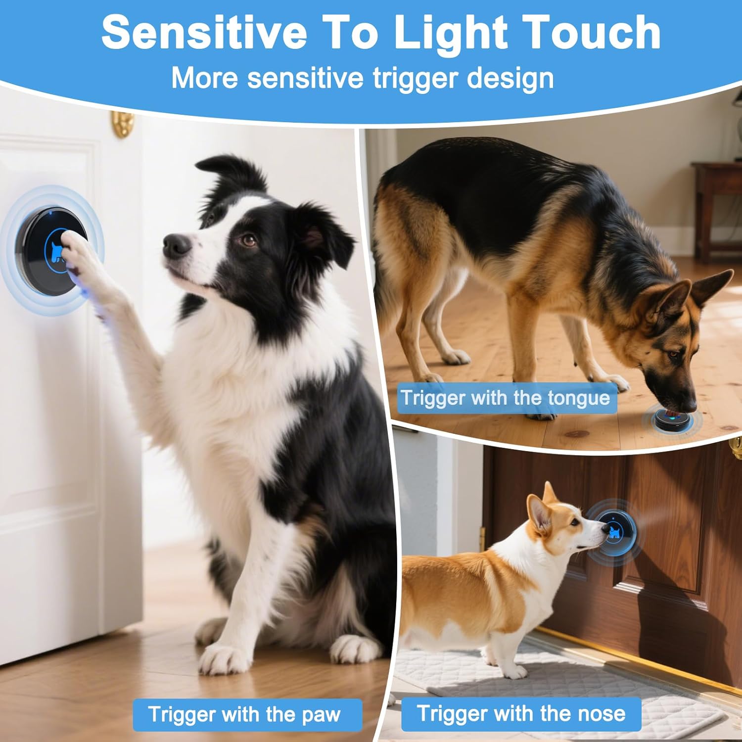 Dog Door Bell (2026 Enhanced Touch), Wireless Dog Doorbells for Potty Training – Dog Bells to Go Outside, 1000Feet Range, Waterproof Button, 55 Melodies & 5 Notification Modes(2 Buttons)
