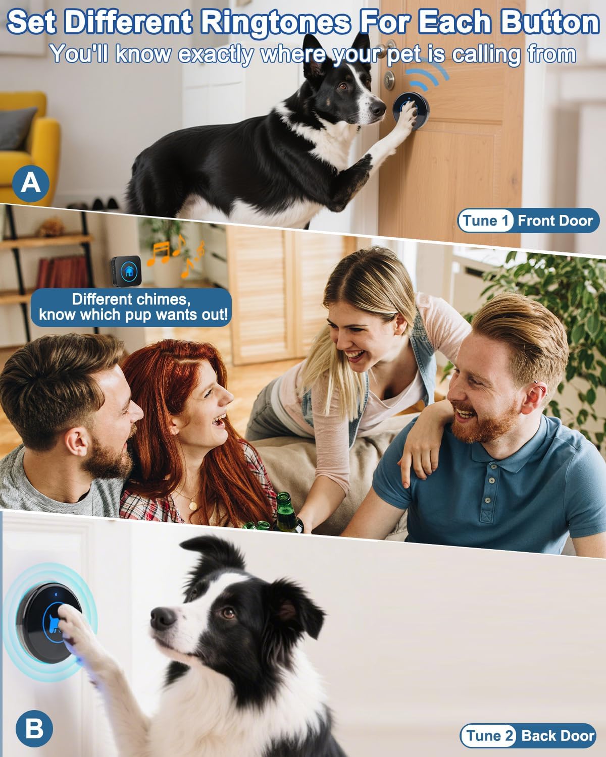 Dog Door Bell (2026 Enhanced Touch), Wireless Dog Doorbells for Potty Training – Dog Bells to Go Outside, 1000Feet Range, Waterproof Button, 55 Melodies & 5 Notification Modes(2 Buttons)