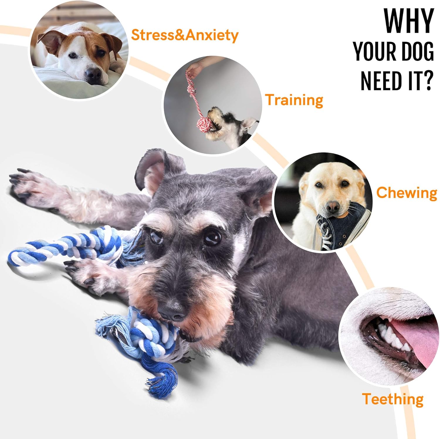 Dog Rope Toys 4 Pack, Puppy Teething Sturdy Cotton Chew Tug Ropes Indoor/Outdoor, Exercise Interactive Tug O'War Toys Set for Boredom Small-Meidum Dogs